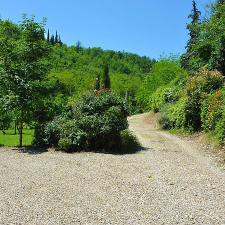 Antico Pastificio Aparthotel Greve in Chianti Exterior photo